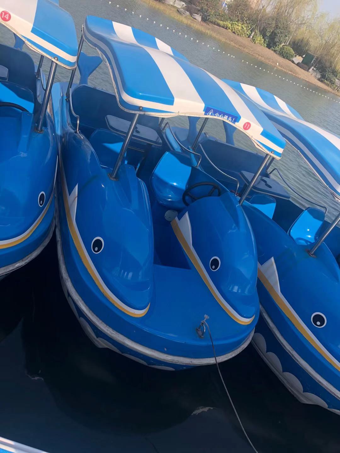 海豚 電動船5人